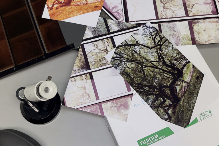 Colour Darkroom Printing Stills