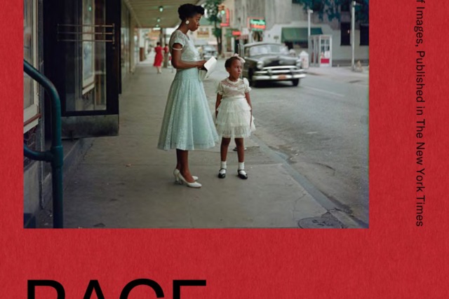Race Stories: Essays on the Power of Images - Maurice Berger