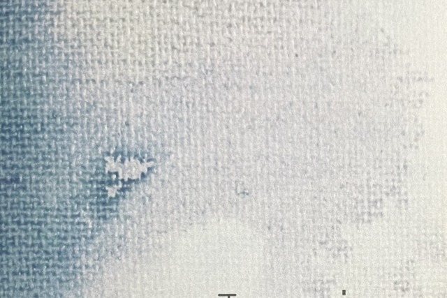 Light Focus - Jasmine