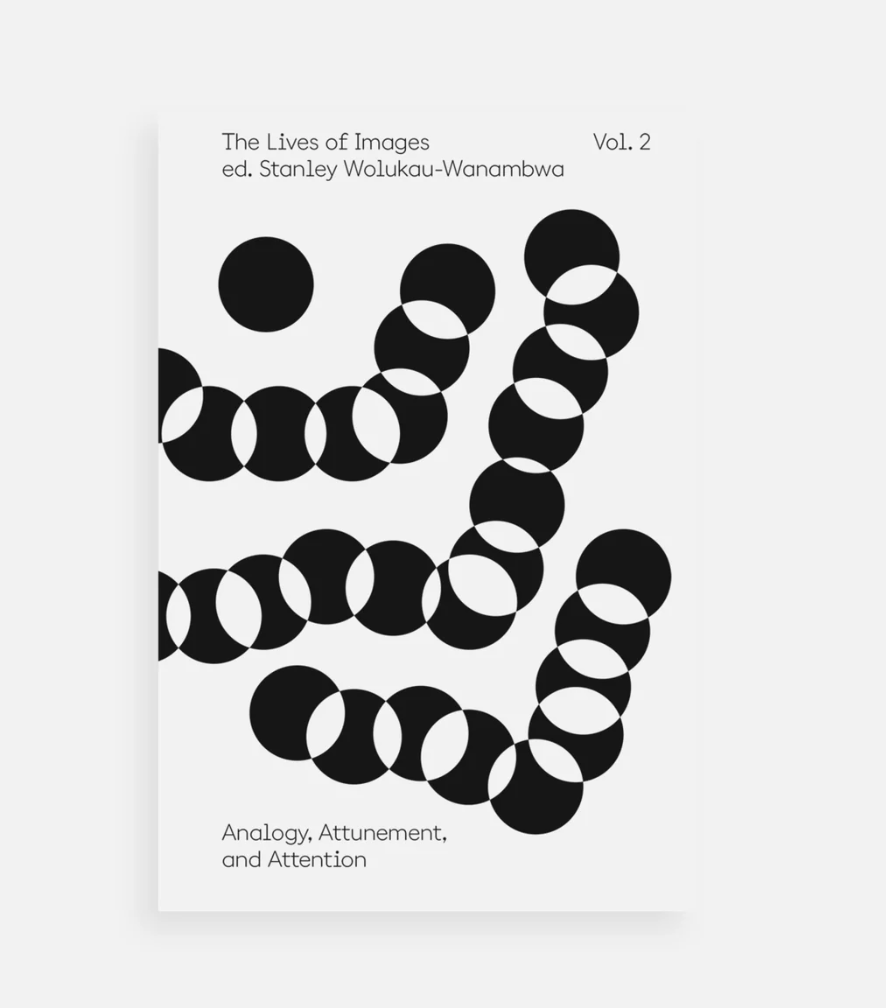 The Lives of Images Vol. 2: Analogy, Attunement, and Attention